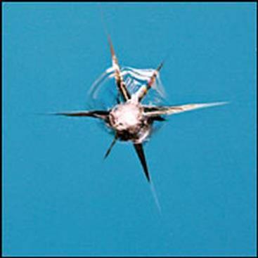windshield chip